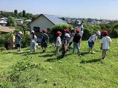 2025-06-05 09.06.40.jpg