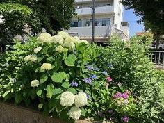 2025-06-05 09.17.32.jpg