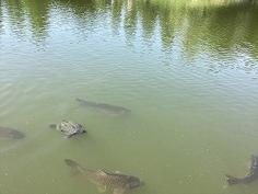 2025-06-05 09.18.41.jpg