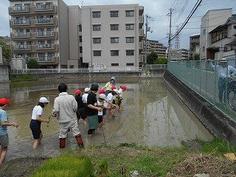 DSCN6041.jpg