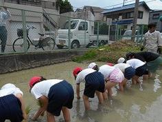 DSCN6045.jpg