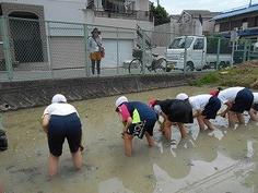 DSCN6046.jpg