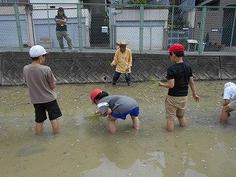 DSCN6048.jpg
