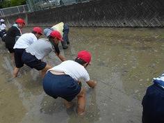 DSCN6051.jpg