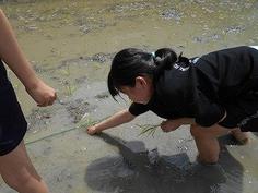 DSCN6057.jpg