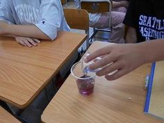 DSCN6066.jpg