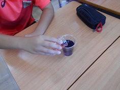 DSCN6073.jpg