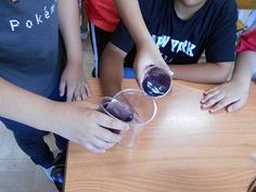 DSCN6083.jpg