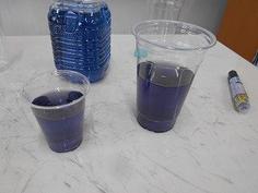 DSCN6085.jpg