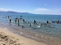 IMG_0805.jpg