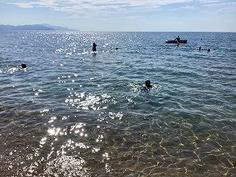 IMG_0823.jpg