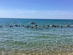 IMG_0811.jpg