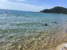 IMG_0824.jpg