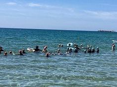 IMG_0814.jpg