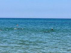 IMG_0920.jpg