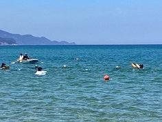 IMG_0918.jpg