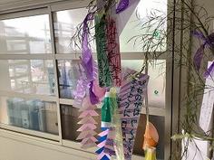 IMG_0382.jpg