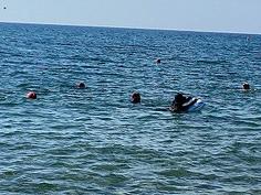 IMG_0817.jpg