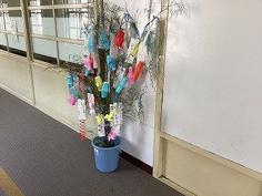 IMG_0364.jpg