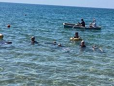 IMG_0808.jpg