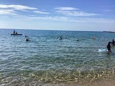 IMG_0815.jpg