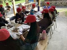 IMG_1982.jpg