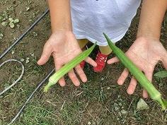 IMG_1319.jpg
