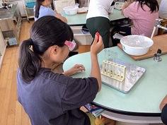 IMG_1961.jpg