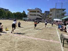 IMG_2897.jpg