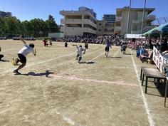 IMG_2921.jpg
