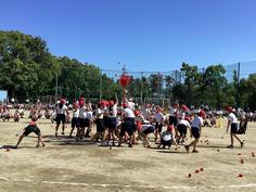IMG_2950.jpg