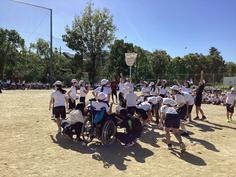 IMG_2954.jpg