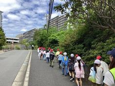IMG_8028.jpg