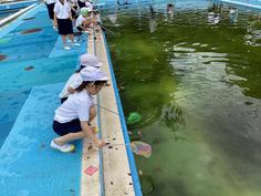 IMG_8091.jpg