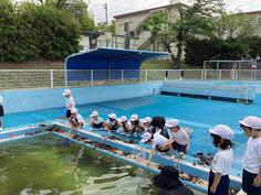 IMG_8098.jpg