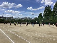 IMG_8565.jpg