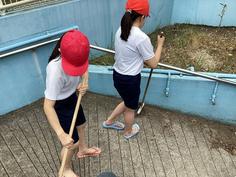 IMG_8684.jpg