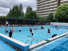 IMG_8689.jpg