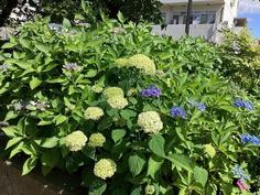 IMG_8754.jpg
