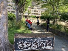 IMG_8765.jpg