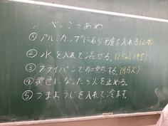 IMG_8870.jpg