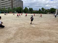 IMG_8906.jpg