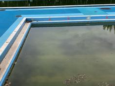 IMG_8976.jpg