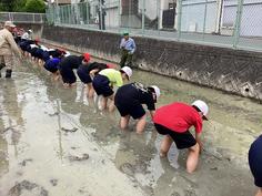 IMG_9143.jpg