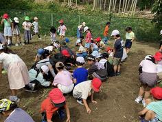 IMG_9179.jpg