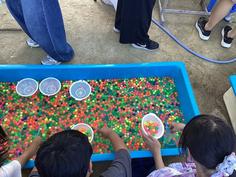 IMG_0031.jpg