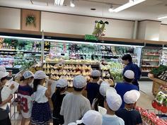 IMG_9491.jpg