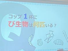 IMG_9553.jpg