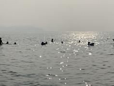 IMG_9950.jpg