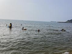 IMG_9951.jpg